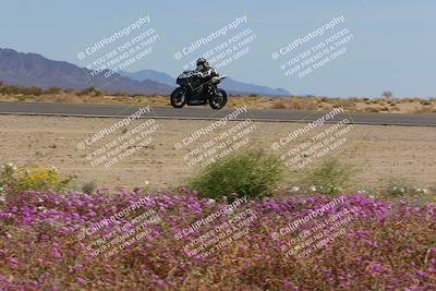 media/Mar-12-2023-SoCal Trackdays (Sun) [[d4c8249724]]/Turn 15 Inside Bloom (130pm)/